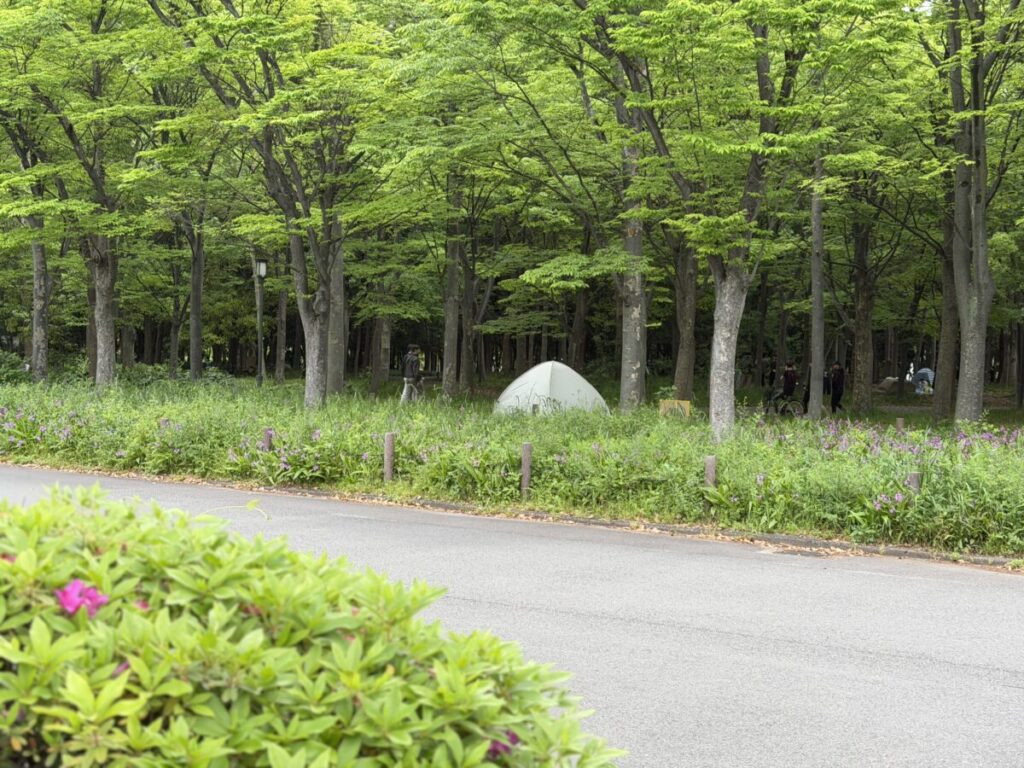 大阪城公園はポップアップテント持ち込んでる人も多い