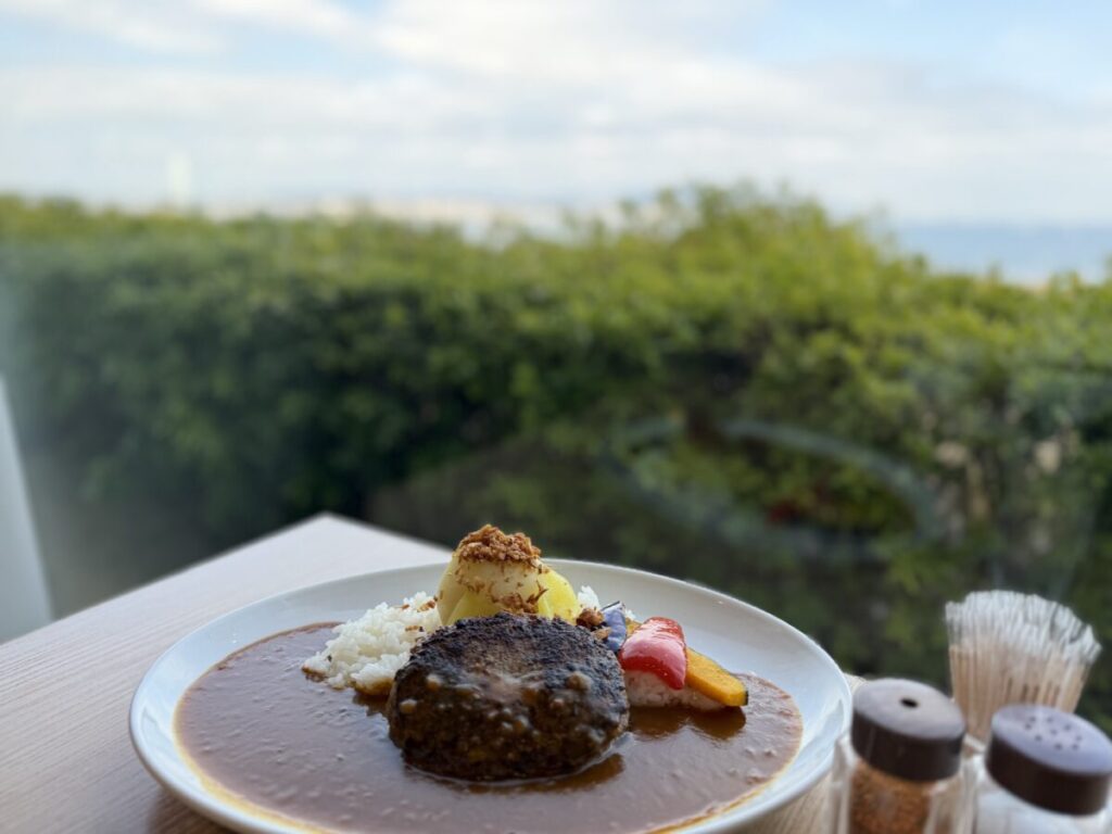 淡路島サービスエリアのロイヤルでおすすめメニュー丸ごと玉ねぎカレーハンバーグ