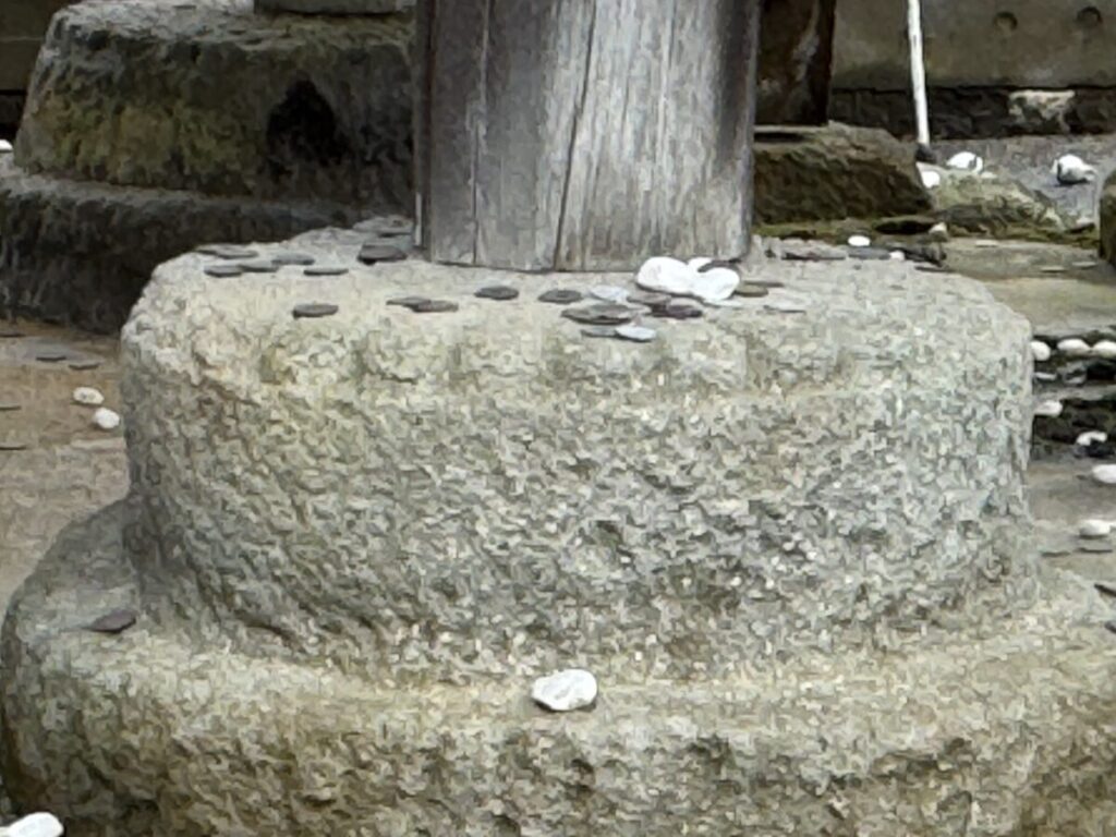 鳥取白兎神社の本殿の菊の紋様