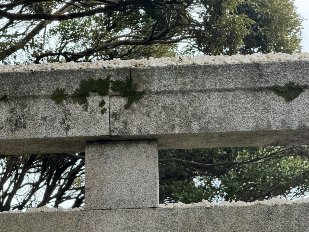 鳥取白兎神社には鳥居にたくさんの石が載っている
