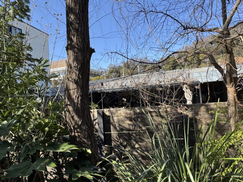 鎌倉の人気カフェ　ガーデンハウスは鎌倉御成町のスタバのプールの隣！