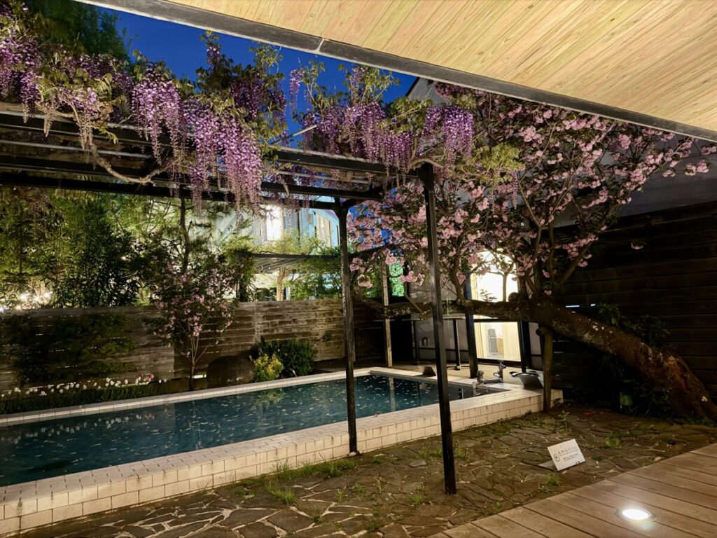 スターバックス鎌倉御成町の藤の花と八重桜のライトアップをテラス席から