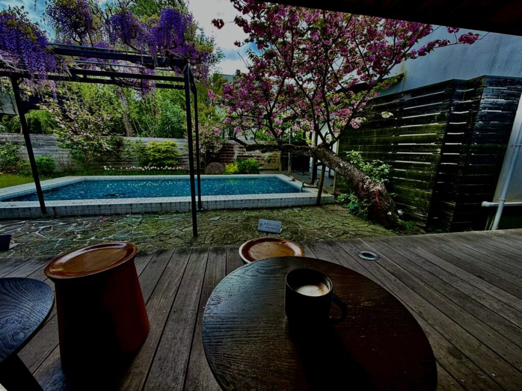 鎌倉御成町スタバの美しすぎる季節のテラス席　目の前に藤と桜