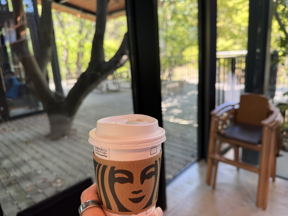 浜松城スターバックス席の窓際席は緑いっぱい