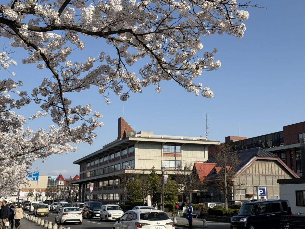 春桜満開の季節のリージョナルランドマークストア　スターバックス弘前公園前店
