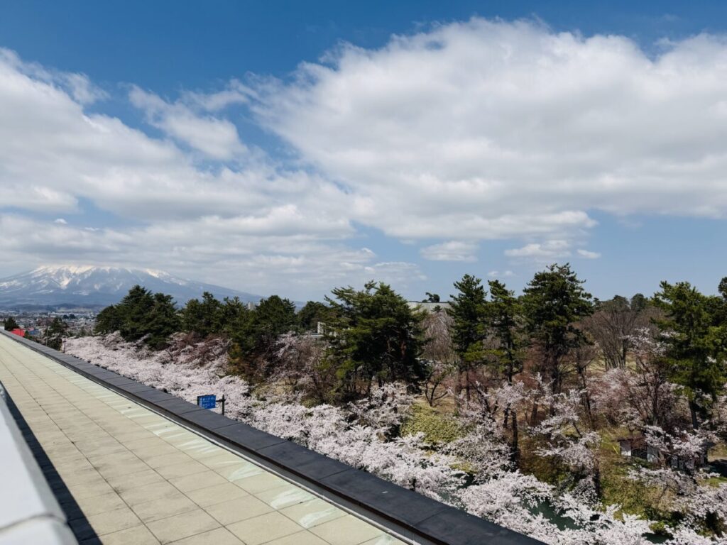 弘前市役所の上から望む弘前城公園と岩木山の桜