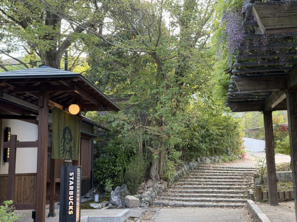 スターバックス京都円山公園 菊の渓店の藤棚の向かいに入り口