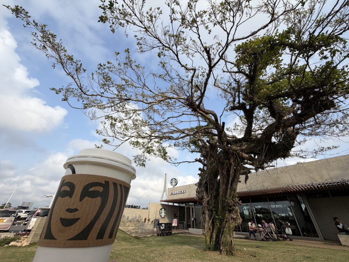 沖縄でわざわざ行きたいスターバックス、那覇鏡原店は芝生でゴザを広げガジュマルをみながらリラックスカフェタイムができる
