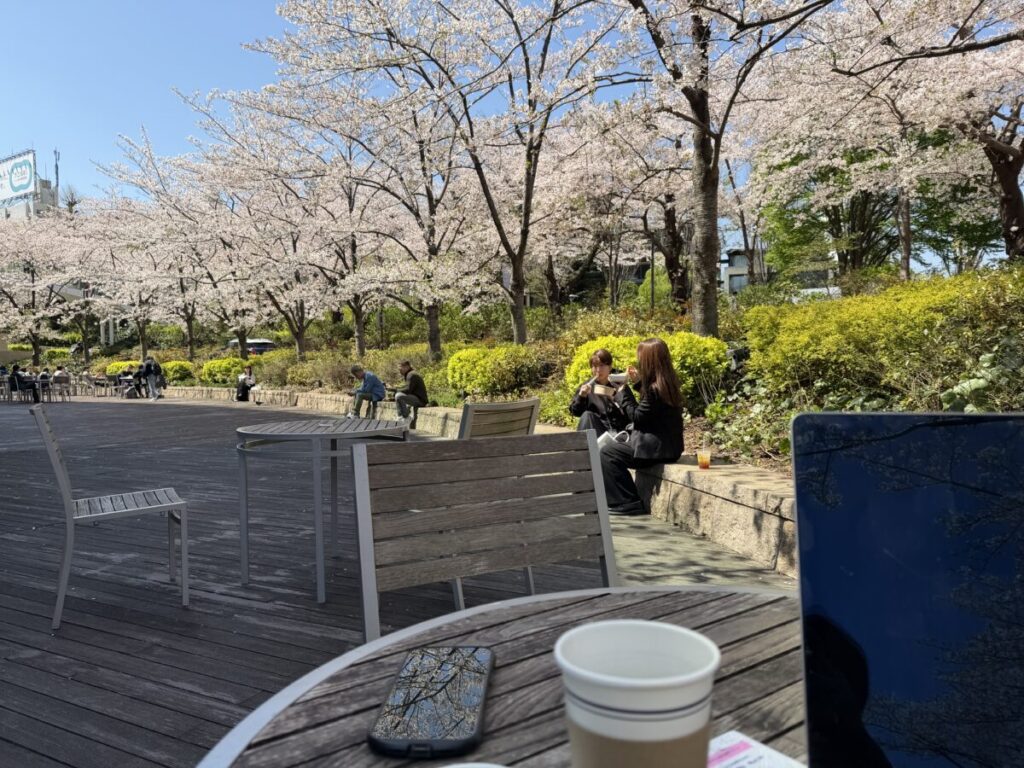 ミッドタウン六本木の1階になるロンハーマンカフェはテラス席でドリンク１杯で間近に桜を楽しめる