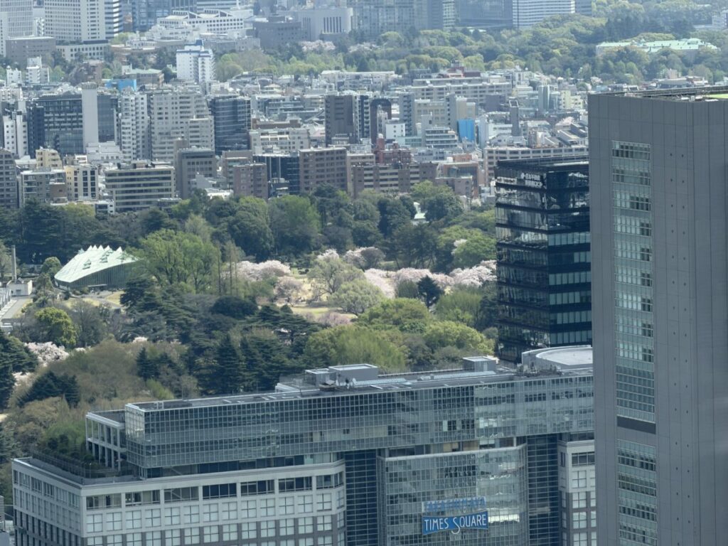 都庁第一展望室47階からみた新宿御苑桜の季節