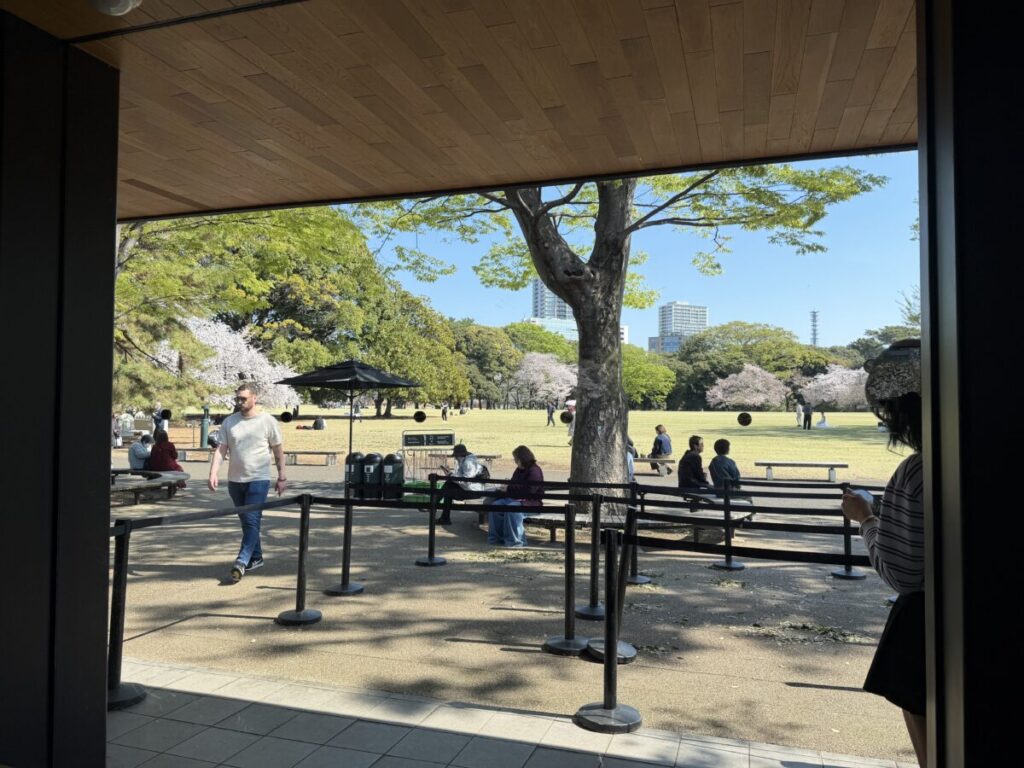 新宿御苑スターバックス　テーブル席から見える芝生と桜も絶景