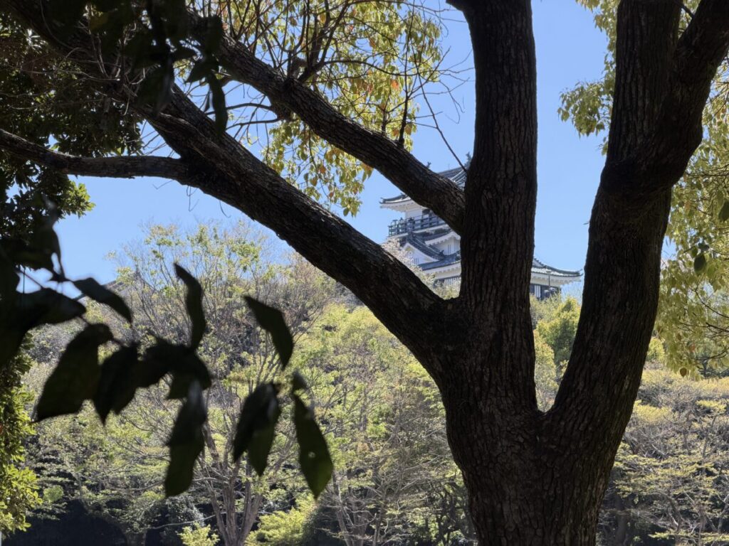 浜松城公園店のテラス席から見える天守閣と緑