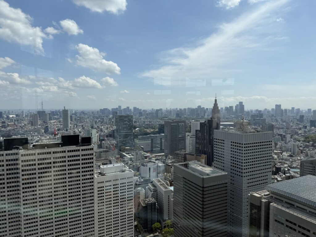 都庁第一展望室からみた外の風景