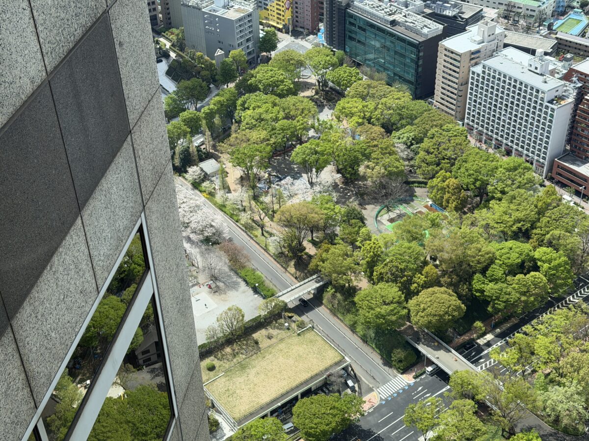 新宿都庁から無料展望室でみられる絶景
